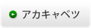 アカキャベツ